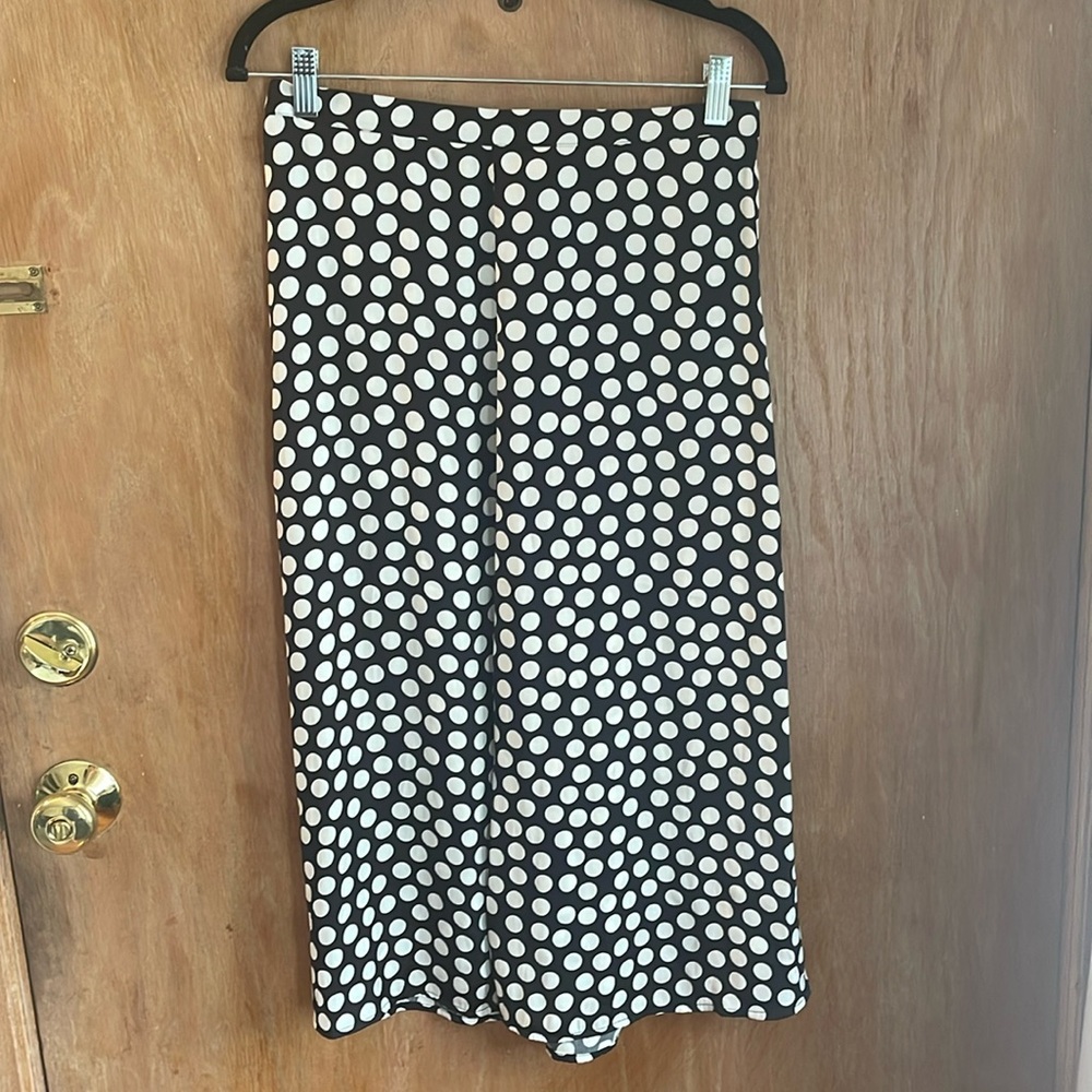Banana Republic Silky Skirt